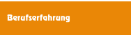 Berufserfahrung