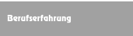 Berufserfahrung